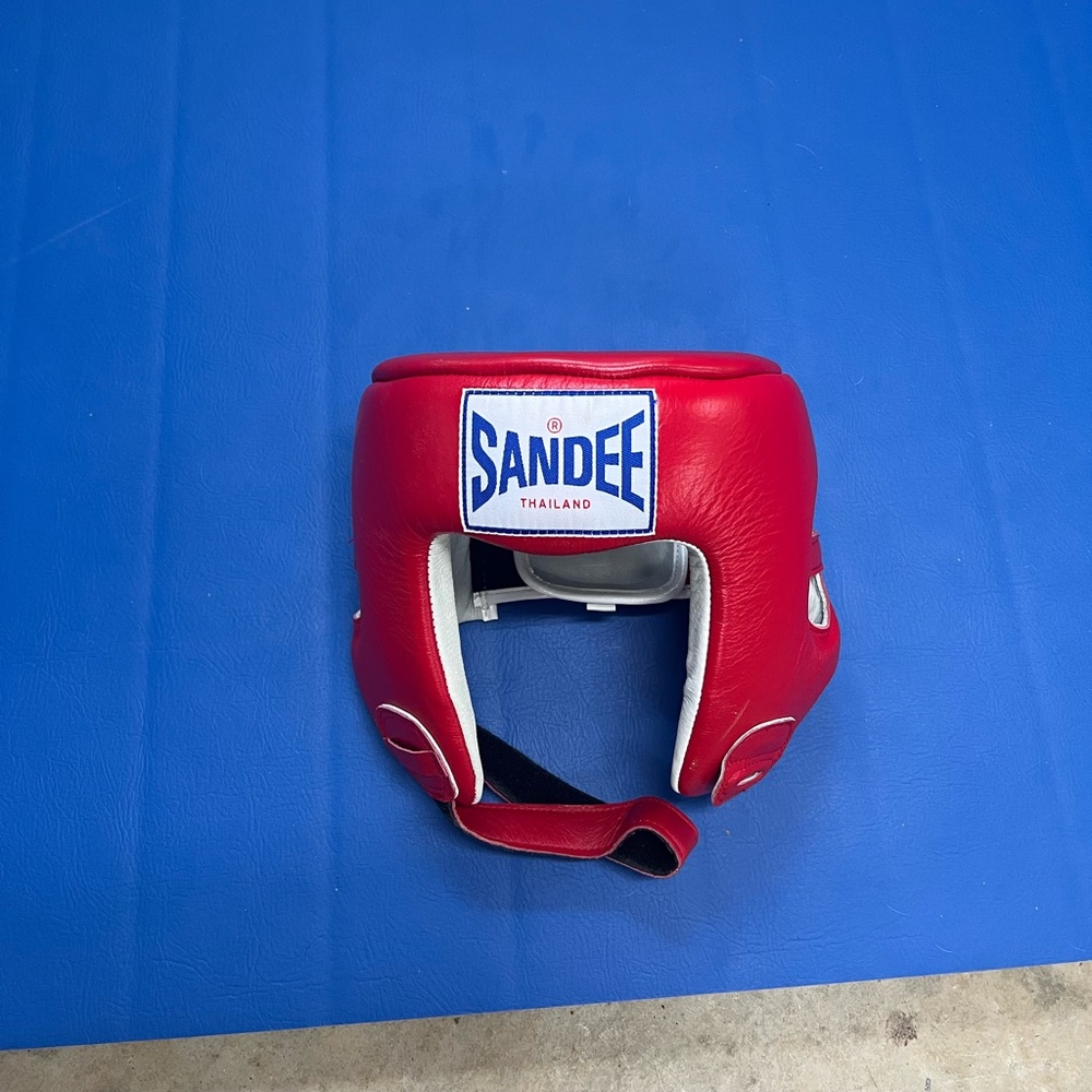 Muay Thai and kickboxing head gear
